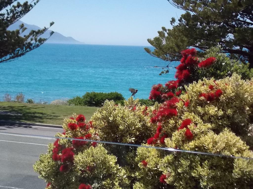 Bed and Breakfast The Hamptons Kaikoura Habitación foto